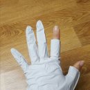 선두호