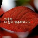결 이미지