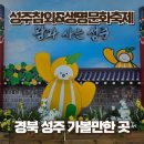 8 | 성주참외&amp;생명문화축제 실시간 후기 | 교통 행사장 안내 일정 총정리