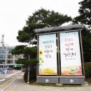 주정차65 이미지