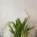 성중농장 이미지