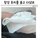 삼백초 | 축농증 약 안 먹고 나아진 후기: 삼백초 청후비책