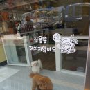 정말귀엽개 이미지