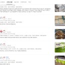 미르식품 | 산미르 두부 다이어트 전두부 청년 국산콩 생식 비단 부침 모두부 젤리 선택 전 꼭 봐야할 후기 모음