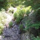 대야안경원 이미지