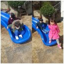 산새들어린이집 이미지