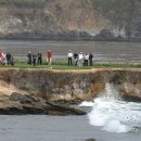 페블비치 이미지