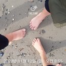 더불어숲작은도서관 맨발걷기 동아리 ＜맨발덕분에＞👣 소식전합니다.(11.12) 이미지