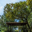 씨에스 호텔 이미지