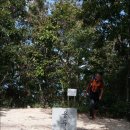 진동여관 이미지