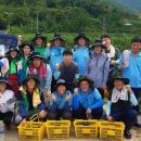 대상(주) 순창공장 이미지