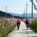 섬진강자전거길 이미지