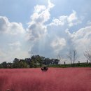 악양생태공원 방문자센터 1층 | 함안악양생태공원 | 핑크뮬리·황화코스모스로 물든 가을 여행지