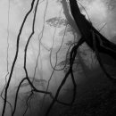 강원옵틱 이미지