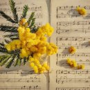 솔바식당 이미지