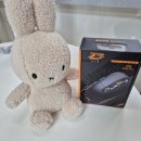 G10 | 맥스틸 G10 Pro 저소음 마우스 내돈내산 후기