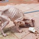 하남농장 이미지