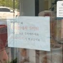 37 | [예콩맛집] 내돈내산 서산맛집/브런치카페/서산 브런치빈 후기