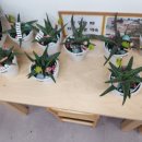 이편한온수어린이집 이미지