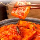 배추김치 10Kg 대용량! 온가족이 즐기는 엄마손맛 배추김치 솔직후기
