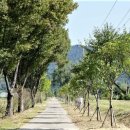 역고개농장 이미지