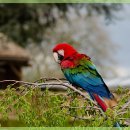 하나카서비스 이미지