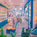 내안에너있DOG 이미지