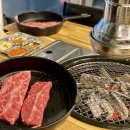 초이피아노스튜디오 | 주간 일기 | 03/20-26 : 강남2신촌2동탄2광교1일