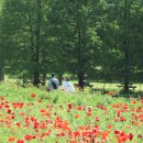 개화농장 이미지