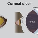 센트럴동물병원 이미지