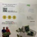 유기농 강화쑥 100%, 애담향 생 쑥가루