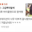 보성미용실 네이버블로그