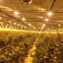 예송 농장 이미지