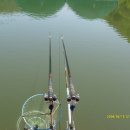 배내미낚시터 이미지