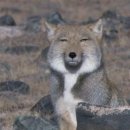 아이아이 이미지