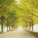 대전용전초등학교 이미지