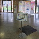 대구중학교 | 아이 성향에 따라 도전해볼 만한 IB 중학교 3년 과정, 대구중학교 체험 후기