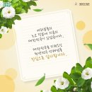 천년 행정사 이미지