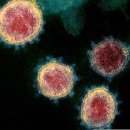 산남주민지원협의체 예래헬스사우나 이미지