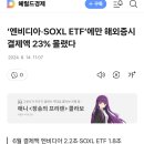 &#39;엔비디아,SOXL ETF에만 해외증시 결제액 23%몰렸다 이미지