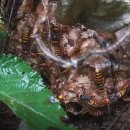 대형카센타 이미지