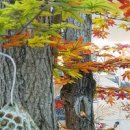 도도스타버거 이미지