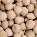 다리안 황토길 이미지