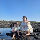 위미중앙로 | 제주 서귀포 남원 현지인 맛집 위미 탐라밥상 쇠소깍 no.138 카페 불멍