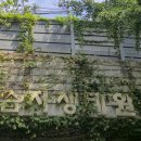 제1311회 09월02일 (화) 서울숲 테마정원 365 건강 걷기 이미지