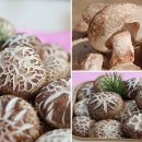 정포펜션 이미지