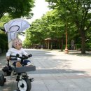 황송공원 교통교육장 이미지