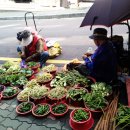 은행나무시장 이미지