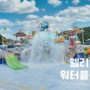 웰리힐리 워터플래닛 솔직 후기
