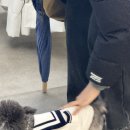 남현 | 숏컷 추천 노멀샵 남현 대표원장님 후기